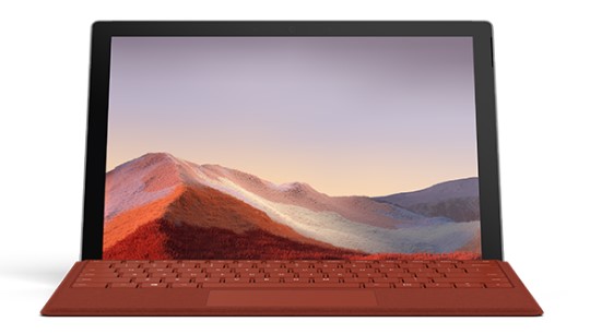 六枝特清洁和维护 Surface